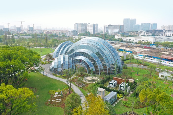 上海植物园 (13).JPG
